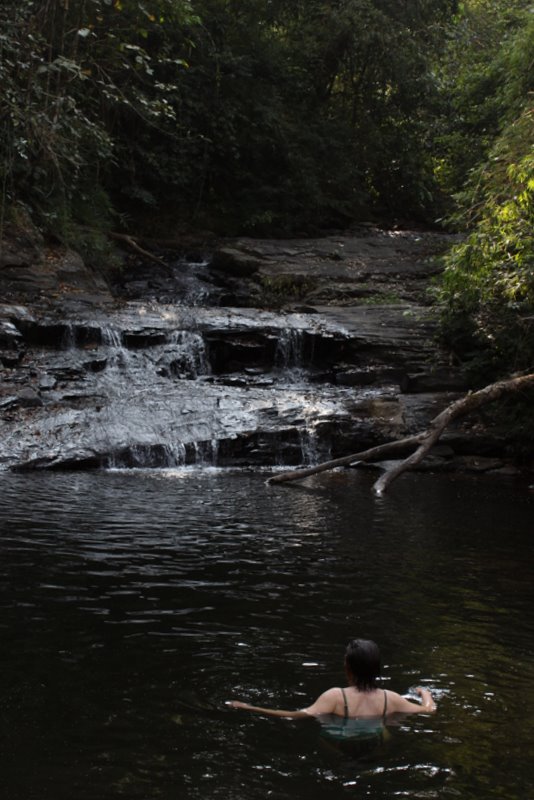 India 2010 - Coorg - Honey Valley - Trek to the Swimming Hole
